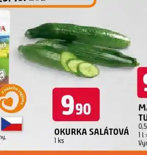 Terno Okurka salátová nabídka