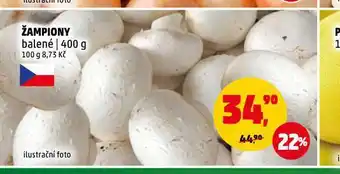 Penny Market Žampiony nabídka