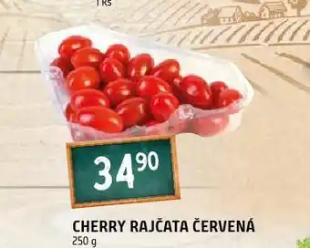 Terno Cherry rajčata červená nabídka