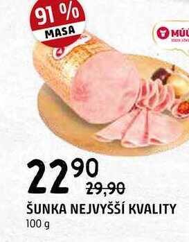 Terno Šunka nejvyšší kvality 100 g nabídka