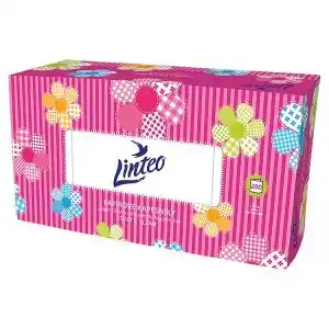 Terno Linteo satin papírové kapesníčky 200 ks nabídka