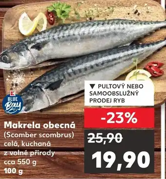 Kaufland Makrela obecná nabídka