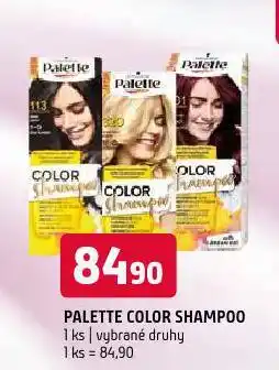 Terno Palette color shampoo nabídka