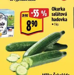 Albert Okurka salátová hadovka nabídka