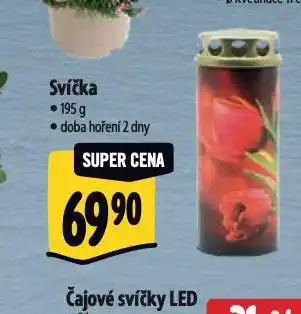 Albert Svíčka nabídka