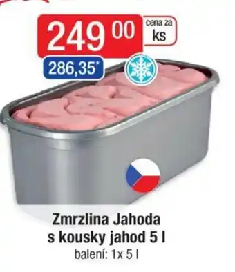 Qanto Zmrzlina Jahoda s kousky jahod 5L nabídka