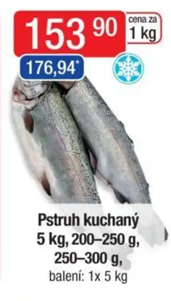 Qanto Pstruh kuchaný 5 kg, 200-250 g, 250-300 g nabídka