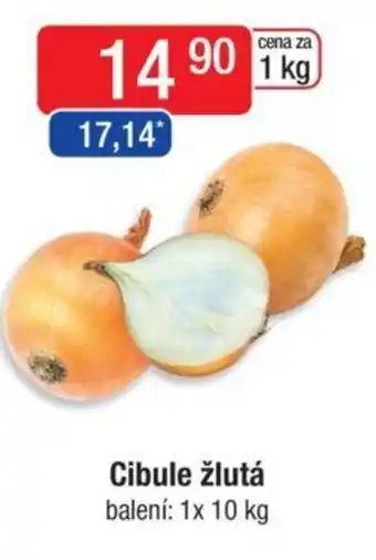 Qanto Cibule žlutá nabídka