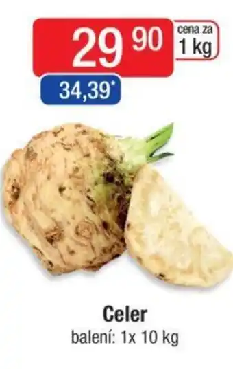Qanto Celer nabídka