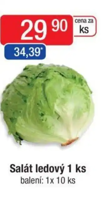 Qanto Salát ledový 1 ks nabídka