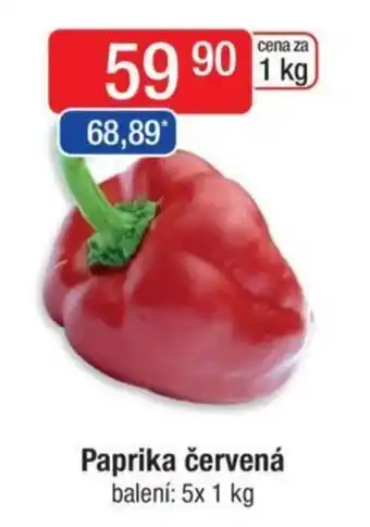 Qanto Paprika červená nabídka