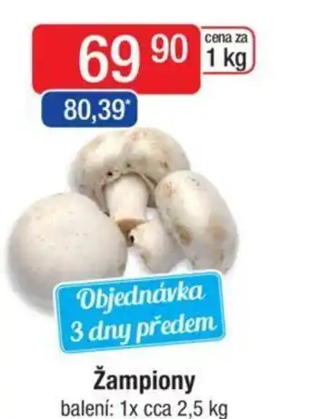 Qanto Žampiony nabídka