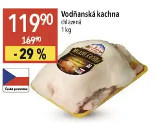 Globus Vodňanská kachna nabídka