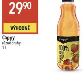 Globus Cappy nabídka