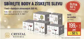Globus SADA SKLENIČEK nabídka