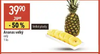Globus Ananas velký nabídka