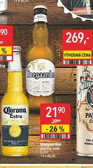 Globus Hoegaarder pšeničný ležák nabídka