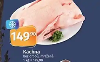 Kachna bez drobů, mražená