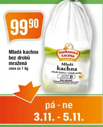 TEMPO Mladá kachna bez drobů mražená nabídka