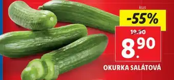 Lidl OKURKA SALÁTOVÁ nabídka