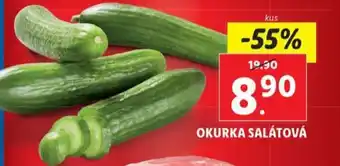 Lidl OKURKA SALÁTOVÁ nabídka