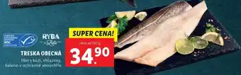 Lidl TRESKA OBECNÁ nabídka