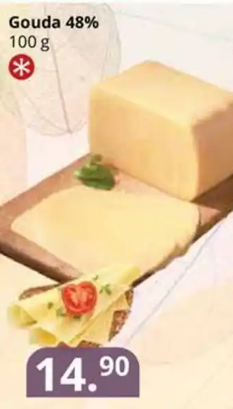 Potraviny CZ Gouda 48% 100 g nabídka