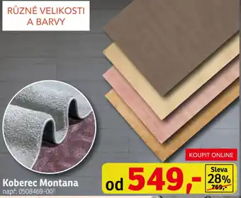 Asko Koberec Montana nabídka