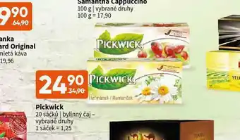 Terno Pickwick čaj bylinný nabídka