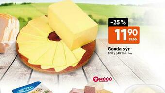 Terno Gouda sýr nabídka