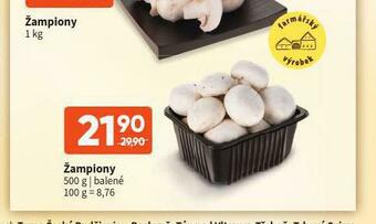 Terno Žampiony nabídka