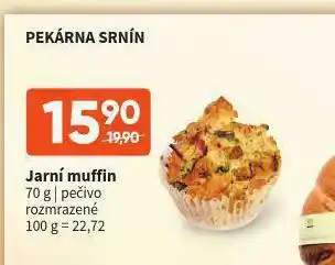 Terno Jarní muffin nabídka