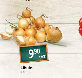 Terno Cibule nabídka