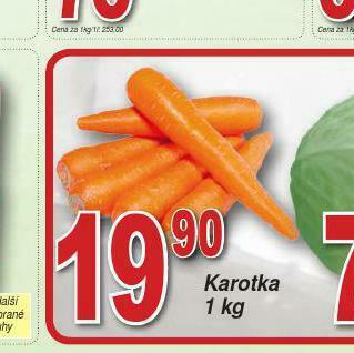 Karotka