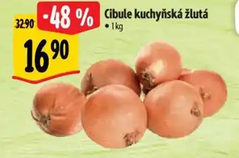 Albert Cibule kuchyňská žlutá nabídka