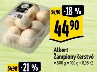 Albert Albert Žampiony čerstvé nabídka