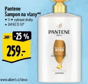 Albert Pantene Sampon na vlasy nabídka