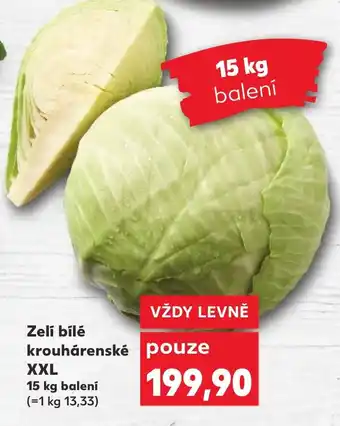 Zelí bílé krouhárenské XXL