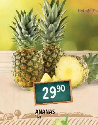 Terno Ananas nabídka