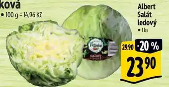 Albert Albert salát ledový 1ks nabídka