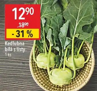 Globus Kedlubna bílá s listy nabídka