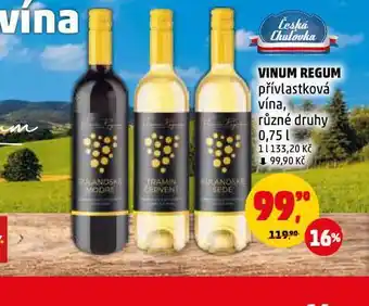 Penny Market Vinum regum nabídka