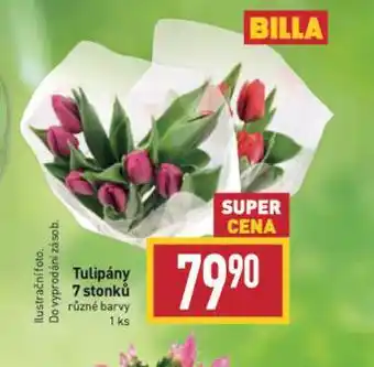 Billa Tulipány nabídka