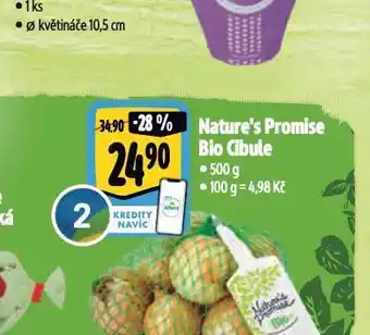 Albert Bio cibule nabídka
