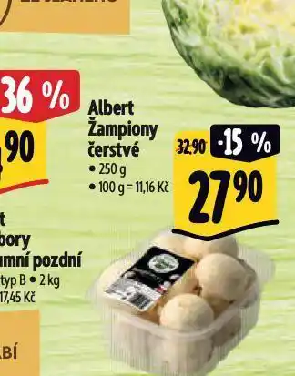 Albert Žampiony čerstvé nabídka