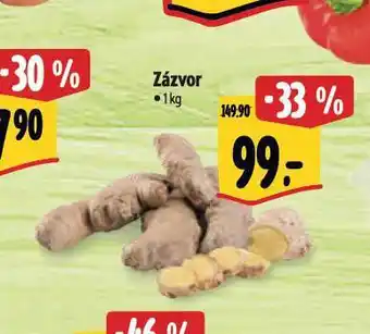Albert Zázvor nabídka