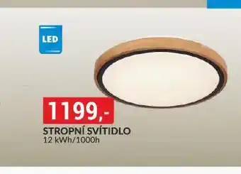 Baumax Stropní svítidlo nabídka