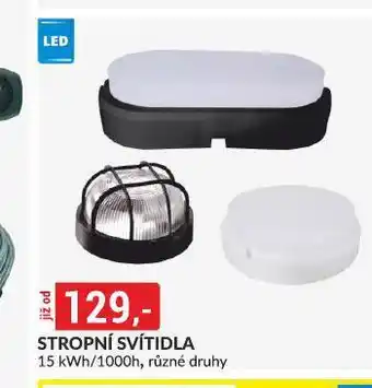 Baumax Stropní svítidla nabídka