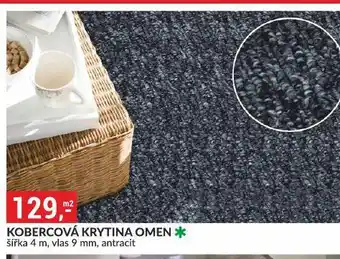 Baumax Kobercová krytina nabídka