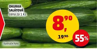 Penny Market OKURKA SALÁTOVÁ nabídka